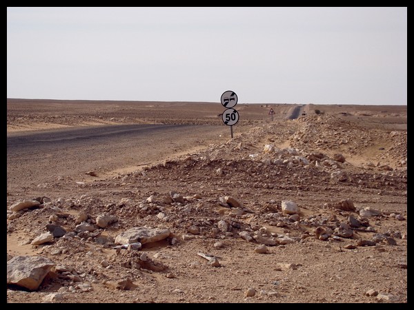 Camel Road - Tunisie 2008