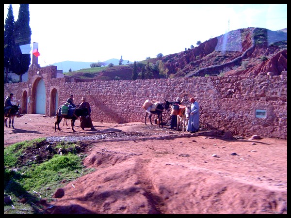 Anes porteurs d'eau - Maroc 2007