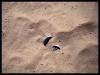Polluted - Tunisie 2008