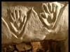 Montrer patte blanche - Tunisie 2008